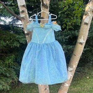 Disney Cinderella Dress